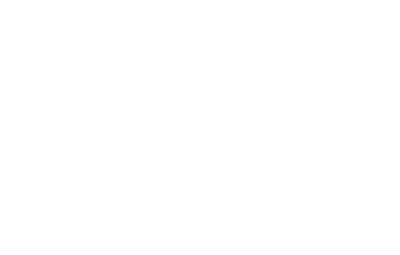 Dries Vanden Borre